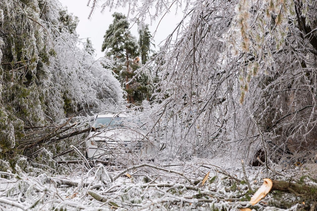 Ice Storm 2025 Update #1